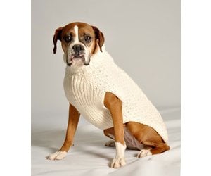 cool sweaters for dogs