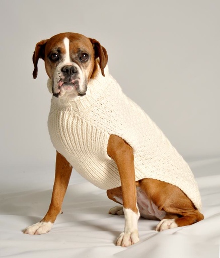 knitted dog sweater