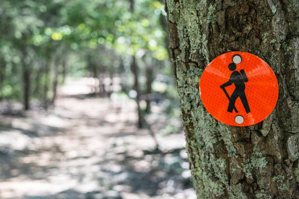 Staff Favorite – Hiking