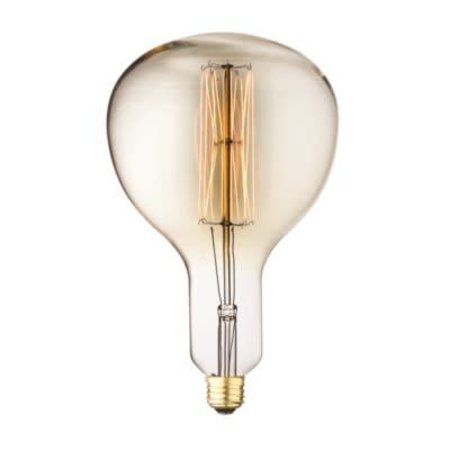 Bulbs