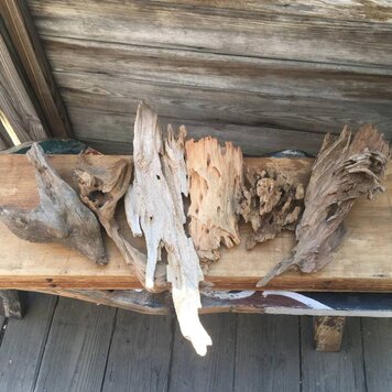 Small Driftwood