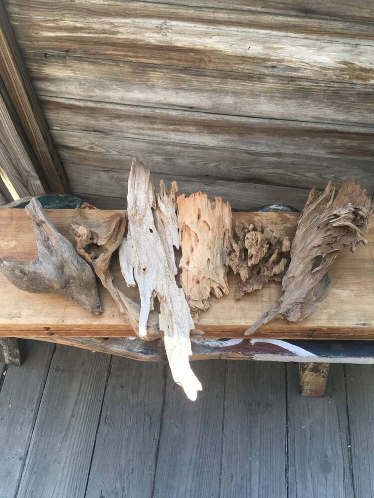Small Driftwood