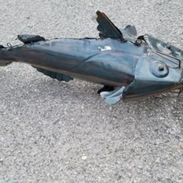 Large Tin Catfish