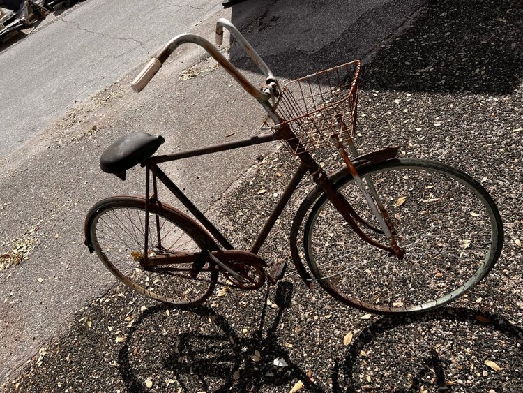Salvaged Bicycle