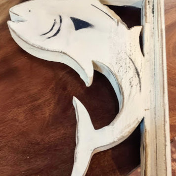 Sale White Bracket Shark Fish