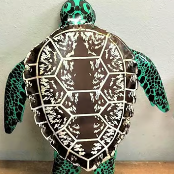 Sea Turtle Md: 19"L x 15"W x 4"H