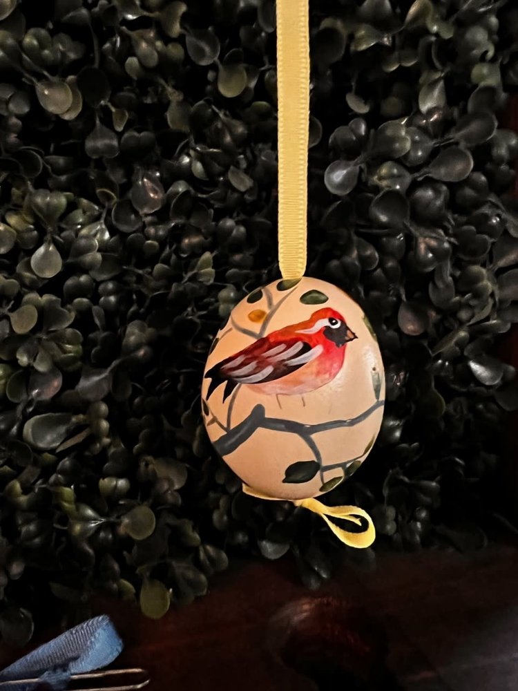 Hand Painted "Real Eggs" From Austria Styles Vary