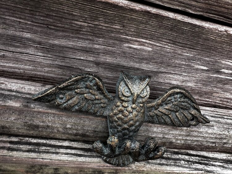 Owl Letter/Phone Holder 7" X 1.5" X 4"