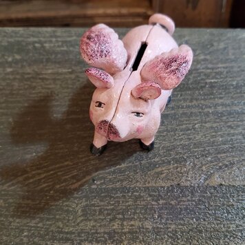 Tiny Flying Pig Bank