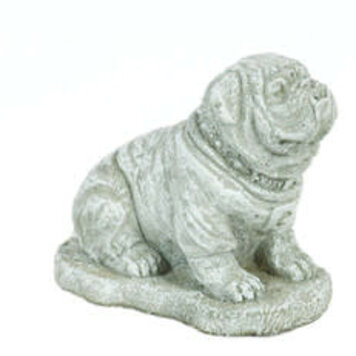 Small Bulldog on Base Pnt