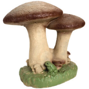 Mushrooms Pnt