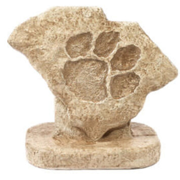 Paw Print Pnt