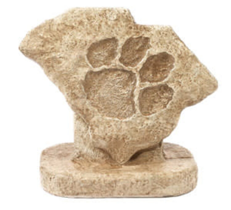 Paw Print Pnt