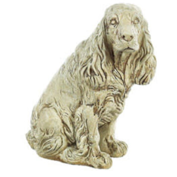 Big Cocker Spaniel Pnt