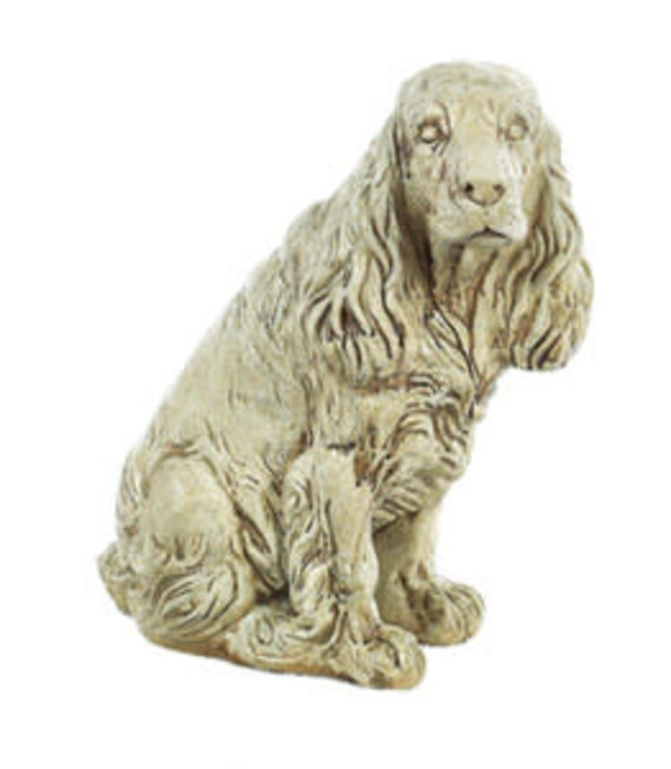 Big Cocker Spaniel Pnt