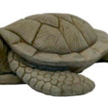 Small Sea Turtle Pnt