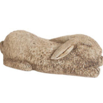Sleeping Rabbit Pnt
