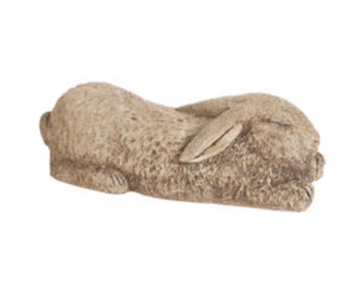 Sleeping Rabbit Pnt