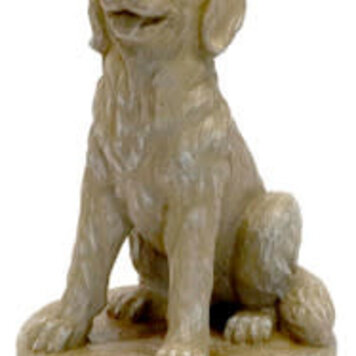 Sitting Golden Retriever on Base Pnt