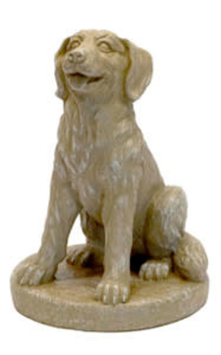 Sitting Golden Retriever on Base Pnt