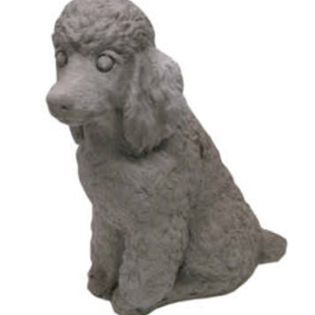 Sitting Poodle Pnt