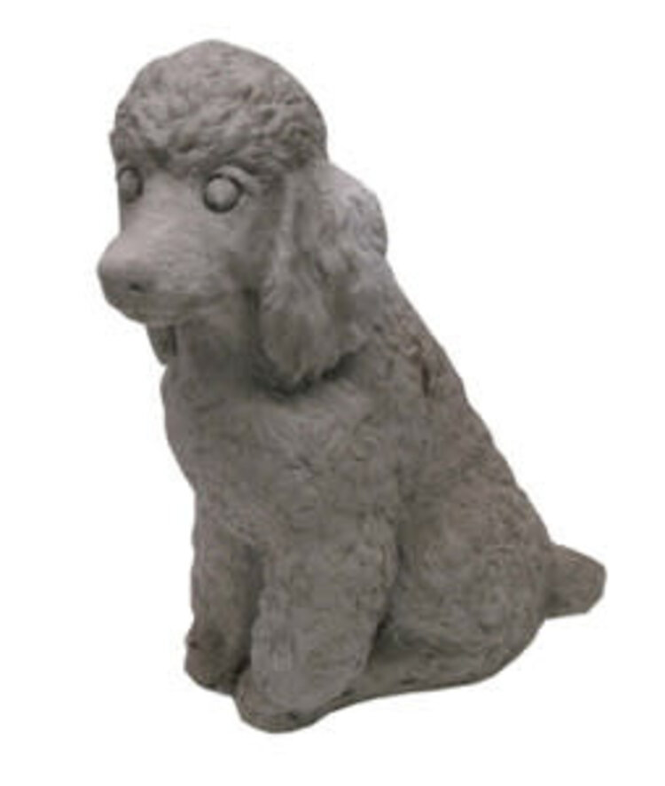 Sitting Poodle Pnt