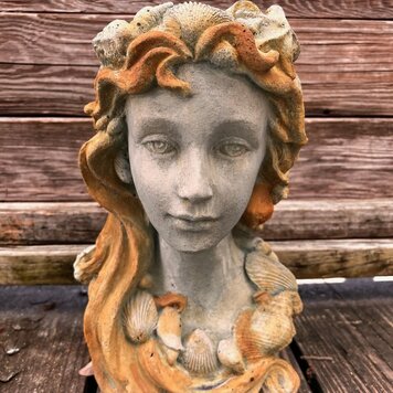 Shell Lady Heads 8" X 5" X 12"