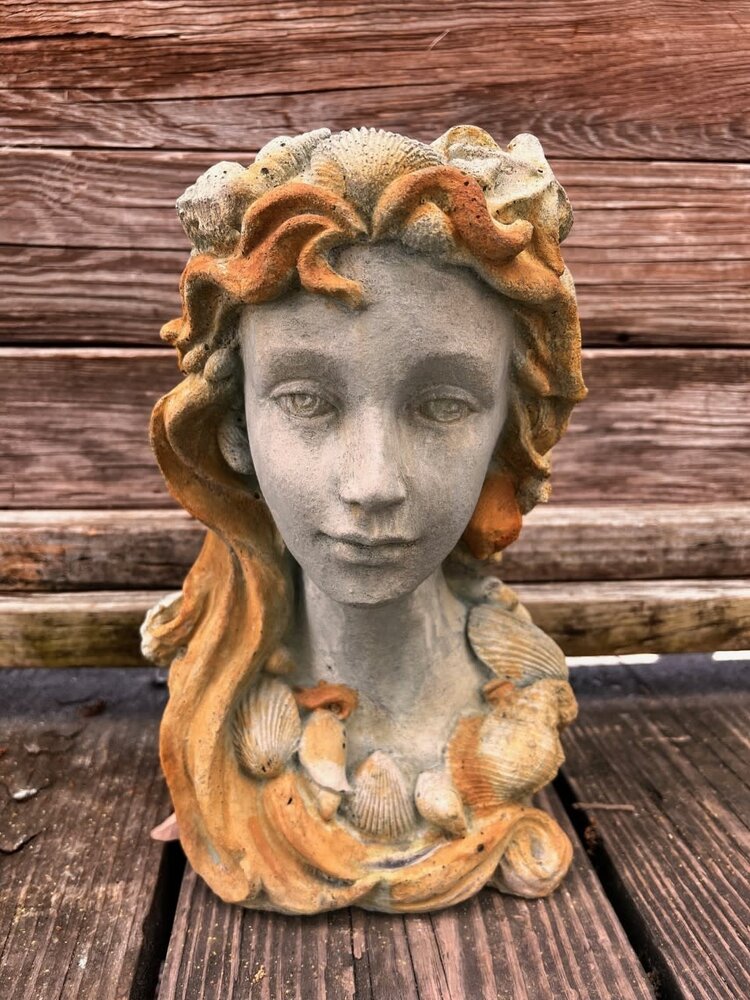 Shell Lady Heads 8" X 5" X 12"