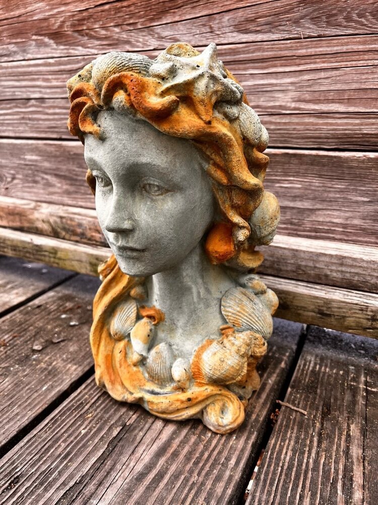 Shell Lady Heads 8" X 5" X 12"