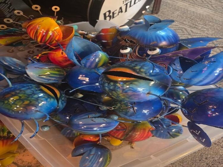 fish - colorful metal tin