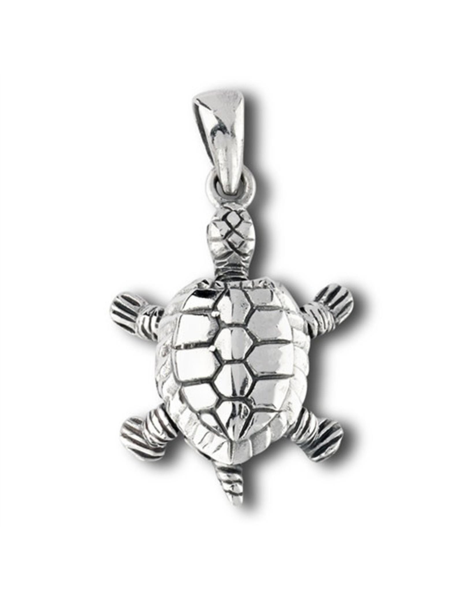 Wellman Group Sterling Moving Turtle