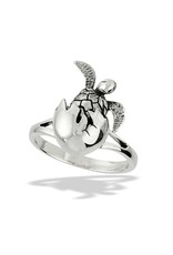 Wellman Group Turtle Hatchling Ring