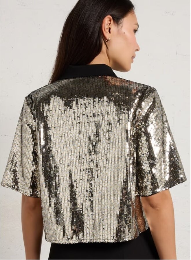 BLOUSE LICHT ARGENT