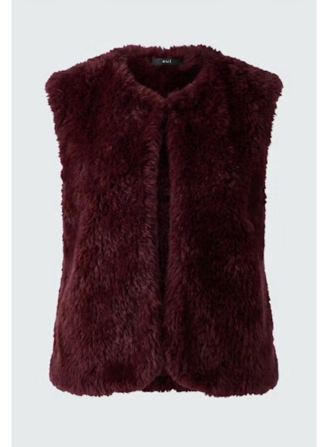 VESTE 98077 RAISIN