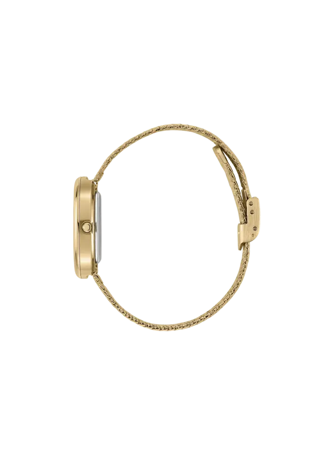 MONTRE JANE GOLD/MIDNIGHT