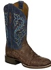 LUCCHESE MALCOLM