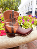 LUCCHESE LUCCHESE APRIL IN CHOCOLATE
