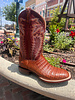 LUCCHESE LUCCHESE WYATT CAIMAN