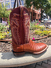 LUCCHESE LUCCHESE WYATT CAIMAN