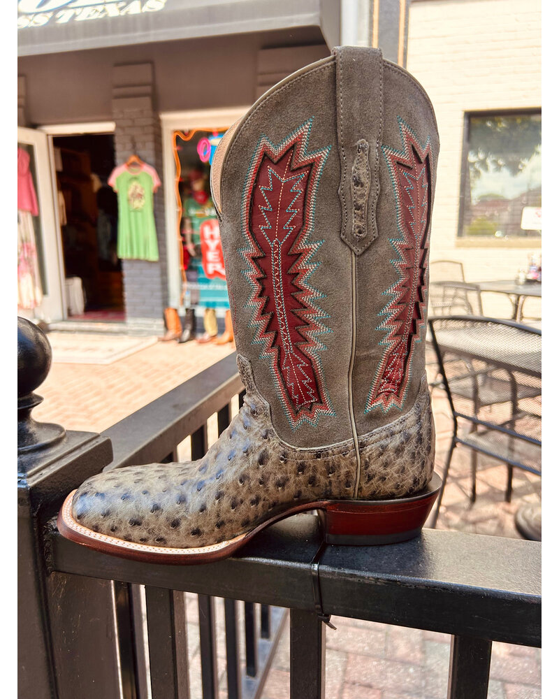 LUCCHESE ROSCOE OSTRICH