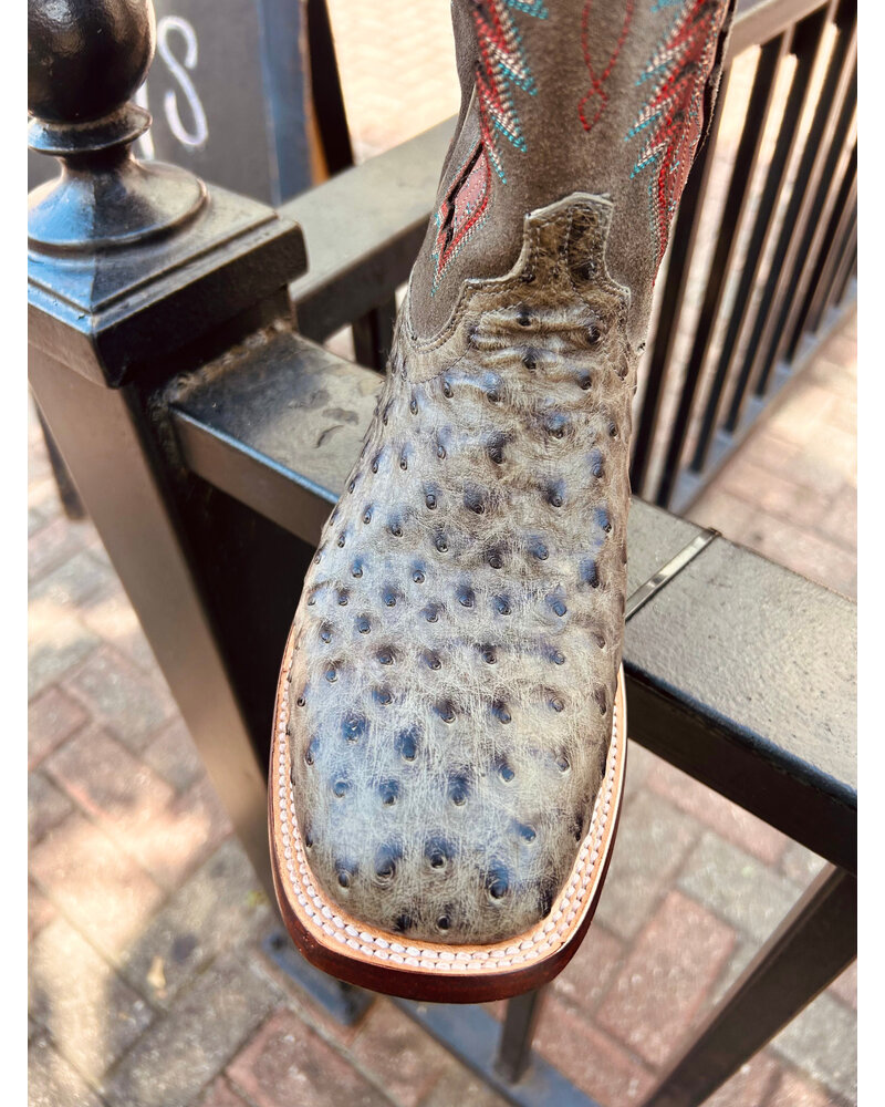 LUCCHESE ROSCOE OSTRICH