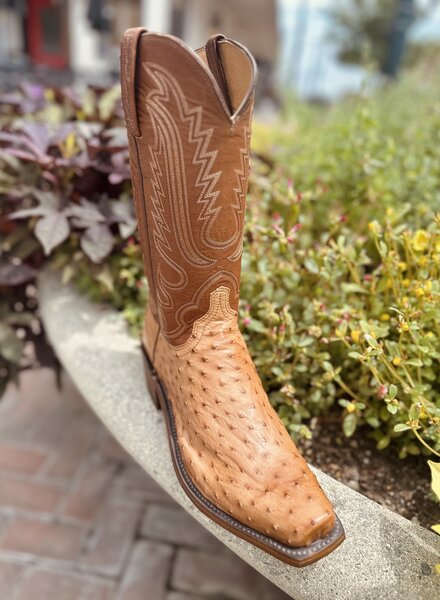 LUCCHESE LUKE