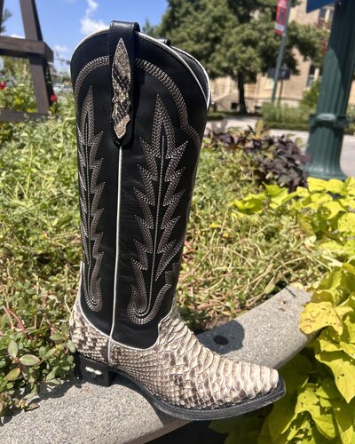 LANE:OOE LB0498B SKYLIGHT 8/25 - Orisons We Dress Texas