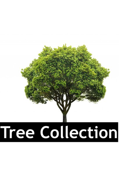 Custom Field Workaround