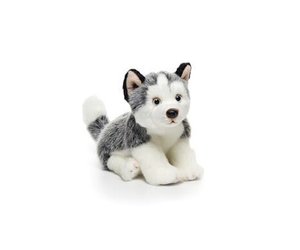husky small
