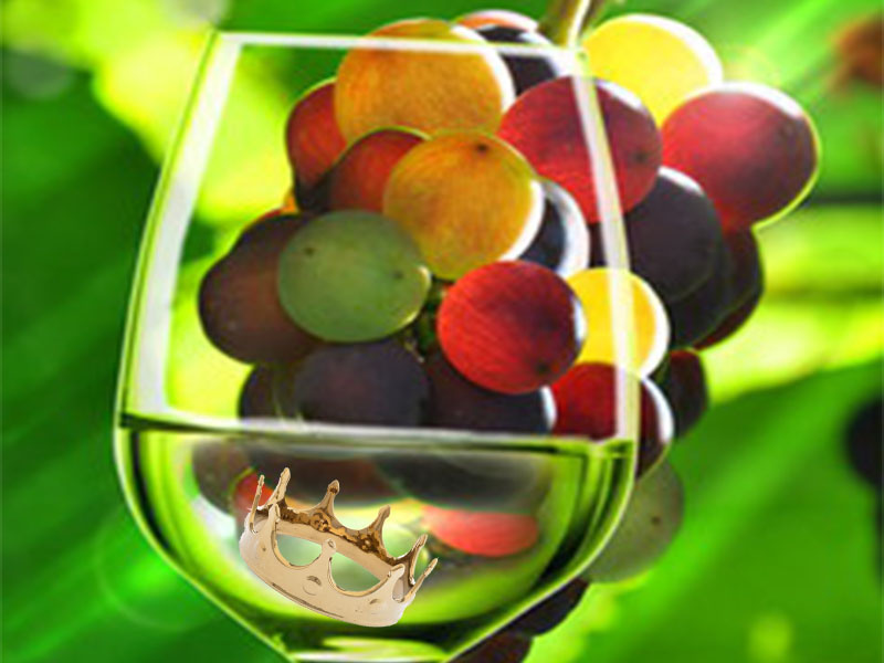 Noble Grapes, The White Varieties