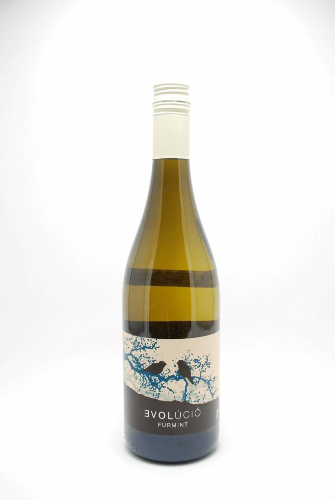 Evolúció Furmint Tokaji Hungary 2024