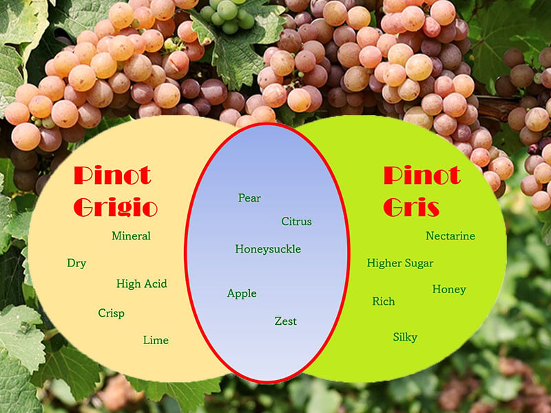 Pinot Gris Vs Pinot Grigio, Revisited 