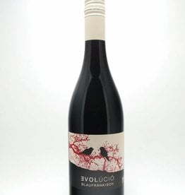 Evolúció Blaufrankisch Burgenland Austria 2023