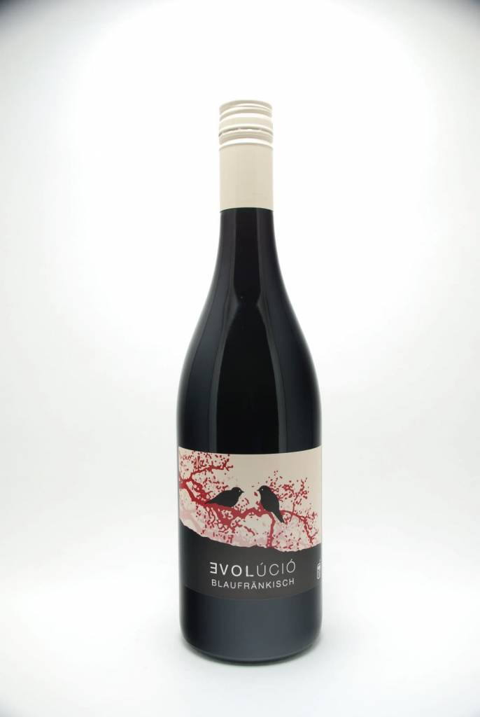 Evolúció Blaufrankisch Burgenland Austria 2023